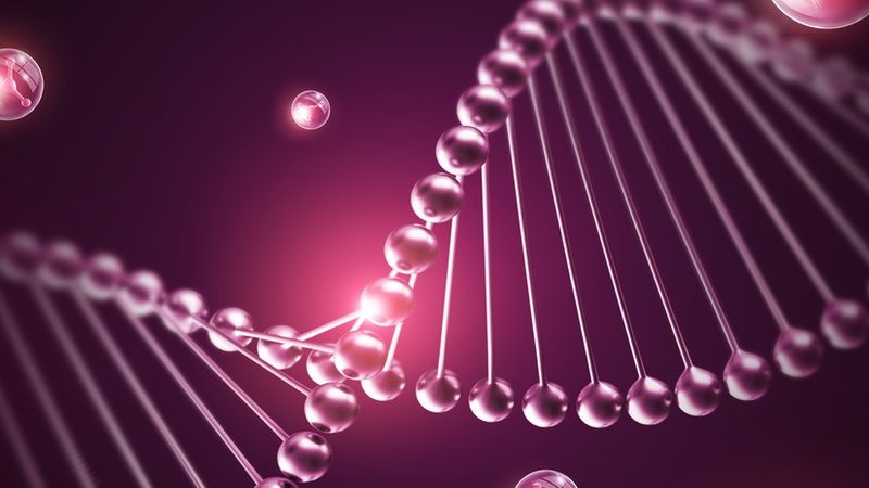 抗体产品质检报告未查询到原因的排查指南