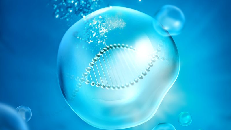 CDMO定制研发：揭秘技术转移流程中的关键步骤