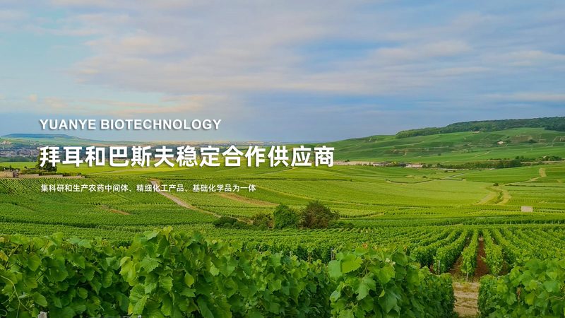 CDMO定制生产代理：揭秘医药研发背后的隐形力量
