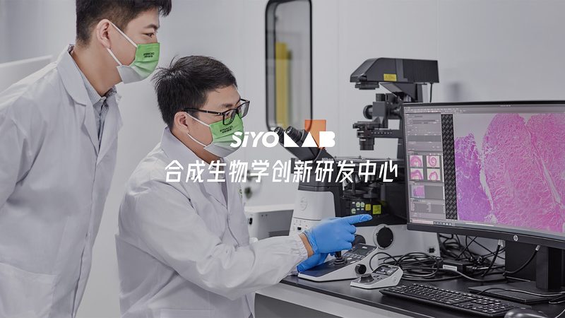 生物医药外包工艺流程设计：关键步骤与注意事项**