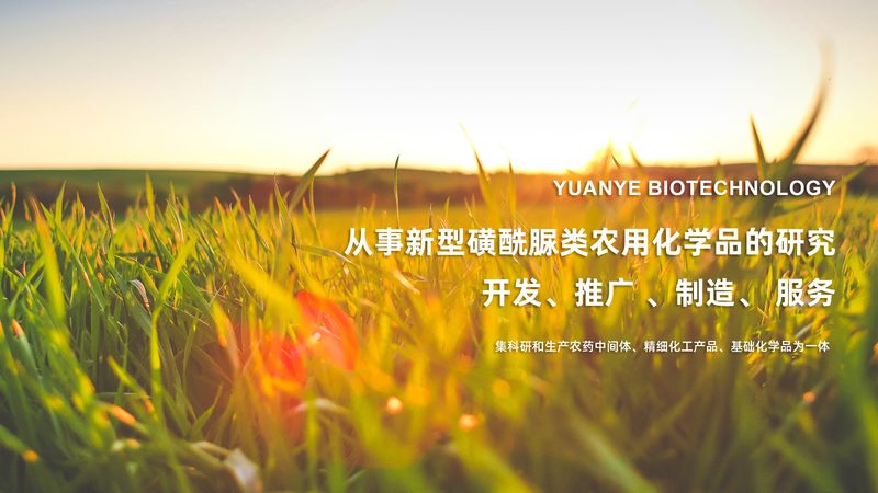 DMEM培养基：揭秘其背后的故事与选择要点**