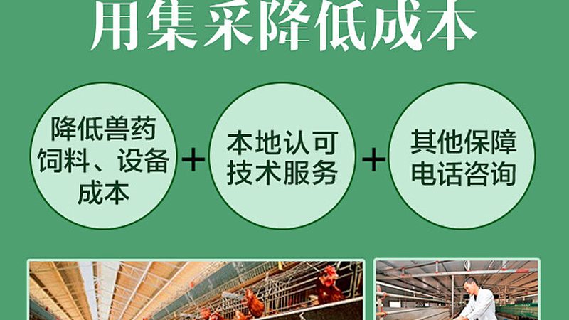 抗体生产公司定制服务：揭秘定制化抗体生产的优势与关键