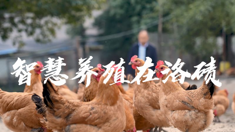手动移液器价格多少钱