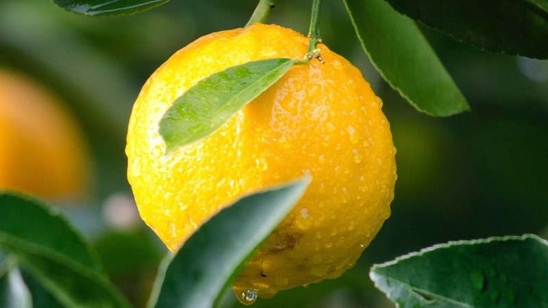 洁净室净化等级：上海生物医药行业的标准解读**