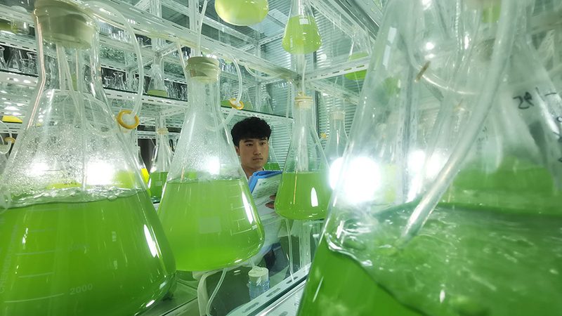 基因测序仪与PCR仪：揭开分子生物学研究的双剑之谜